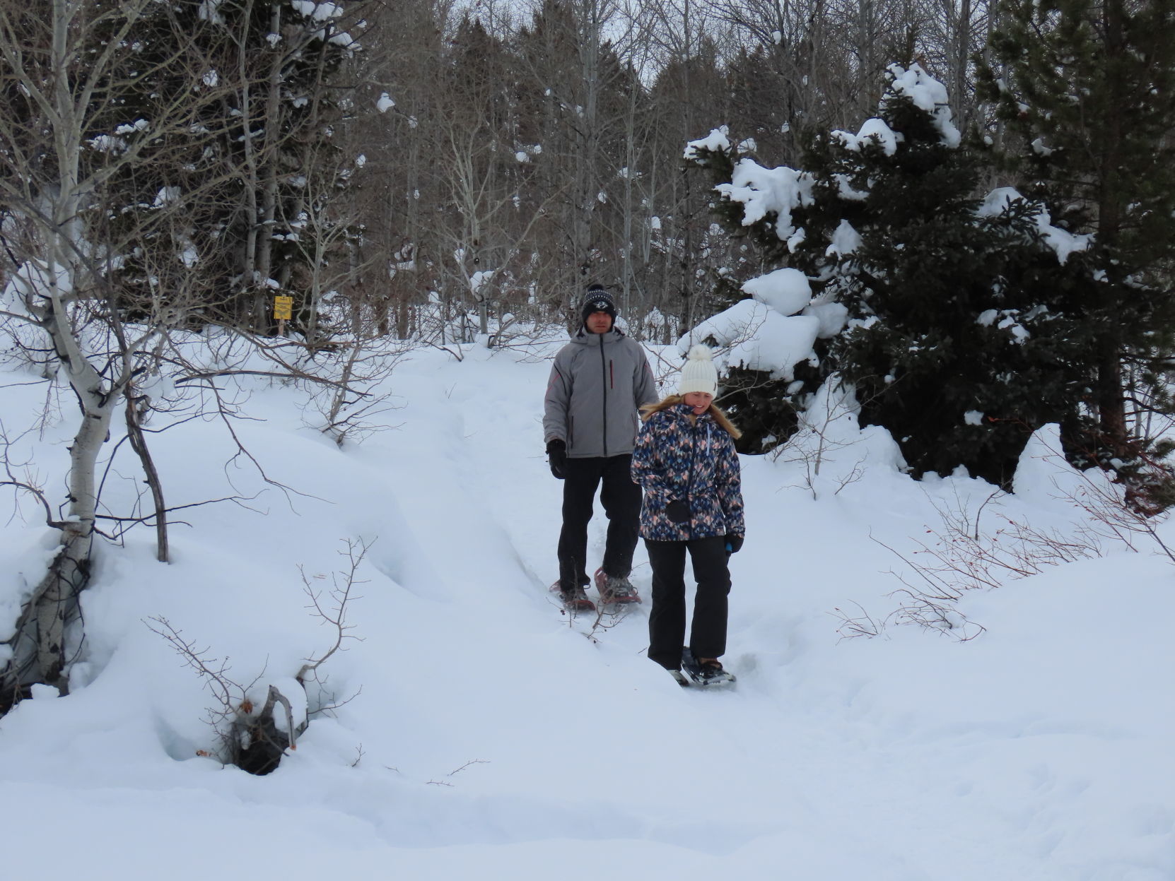 Snowshoers